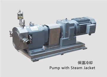 凸輪(lún)式轉子泵(beng)