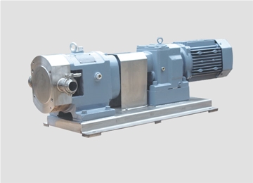 TPS凸(tu)輪式轉子泵(bèng)