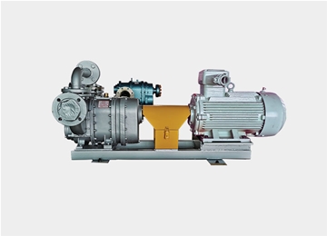 TXB橡(xiang)膠轉子泵